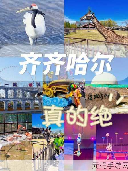 ZOOMSERVO兽狗牧场不限次数观看：1. ＂无尽观看ZOOMSERVO兽狗牧场，探索犬类的无限魅力