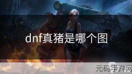 DNF手游资讯,揭秘真猪与假猪的奥秘