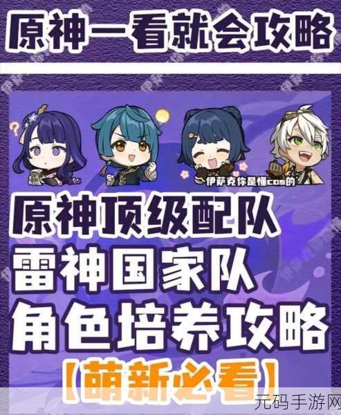 原神雷主及雷国队输出手法深度解析，打造高效战斗阵容