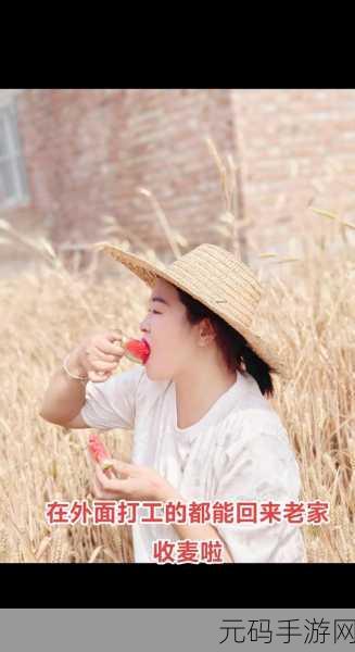抵押朋友的麦子:1. 以麦子为媒,探寻友情的新契机
