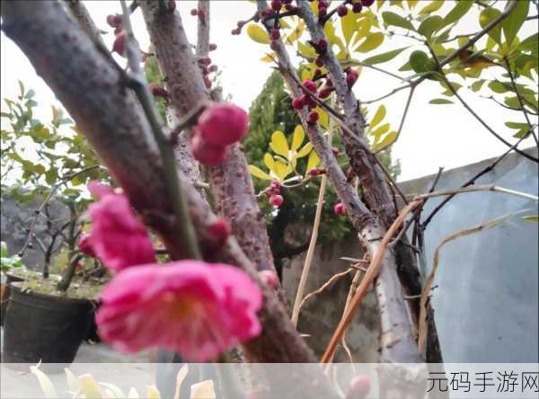 含苞待放周延镇莹莹谜同类型书：1. 含苞待放：周延镇的春日童话
