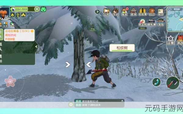 探秘小森生活，松纹树脂获取秘籍与香脂松纹树神秘刷新点