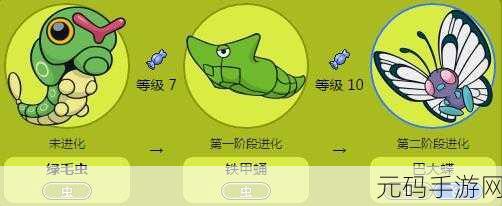 手游资讯,宝可梦大探险铁甲蛹进化揭秘
