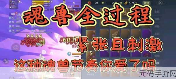 手游资讯，妄想山海魂兽掉落内容详解