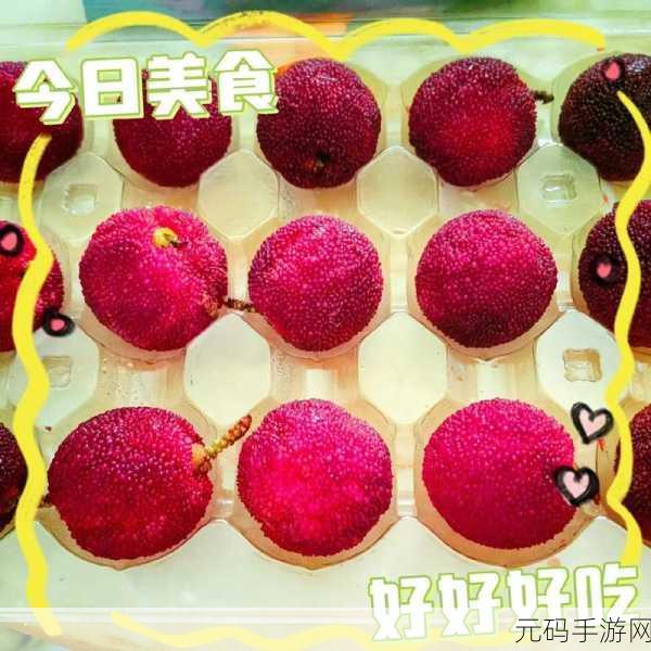 厨房春潮莲花坐顶：1. 厨房春潮：莲花盛开与美食的交响曲