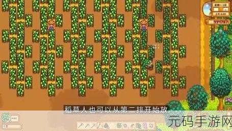 星露谷物语手游深度指南,啤酒花酿酒全攻略