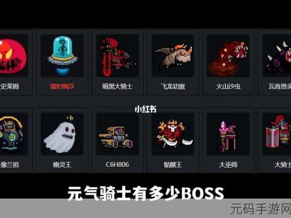 元气骑士飞龙兑换码独家揭秘，限时福利大放送，玩家不容错过！