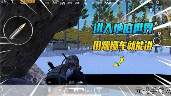 探秘和平精英绿洲世界，轻松进入的独家秘籍
