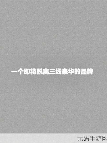 精品二线三线品牌对消费者的影响:1. 精致消费:二线三线品牌的崛起与影响