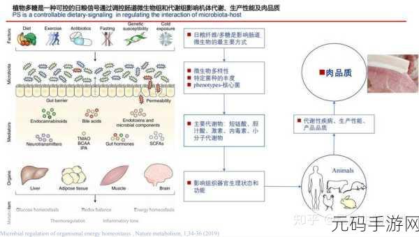 人与畜禽共性关系的重要性有哪些：1. 人与畜禽共性关系对生态平衡的影响研究