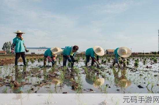 外国情侣插秧方法：1. 外国情侣插秧的浪漫情缘与技巧分享