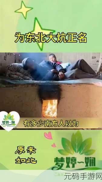 东北大炕虎子：1. 东北大炕上的温暖故事：虎子的成长之路