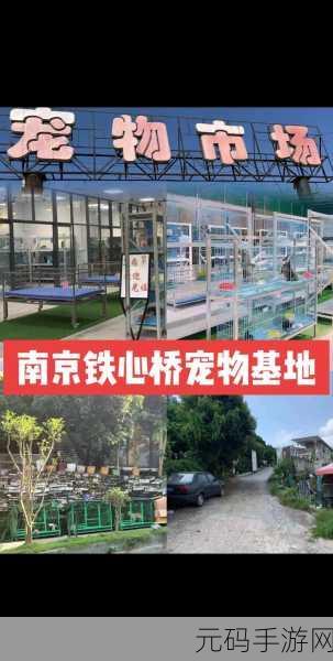 yw龙物失联：1. ＂YW龙物失联背后的神秘真相调查