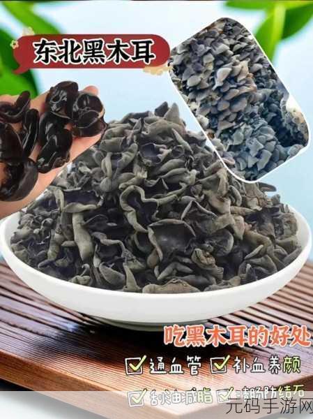 老婆的木耳能吃吗：1. “探索老婆的木耳：美食与健康的双重享受”