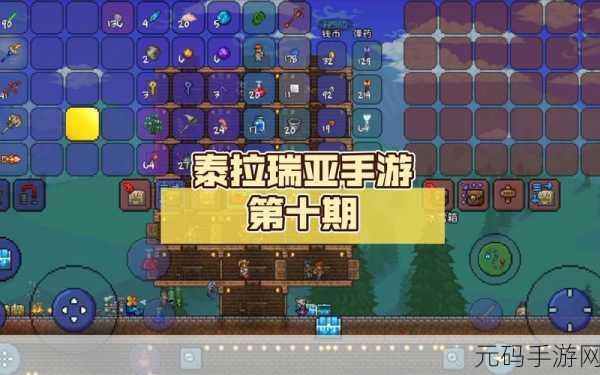 泰拉瑞亚手游新资讯，豚鼠宠物揭秘及其独特作用