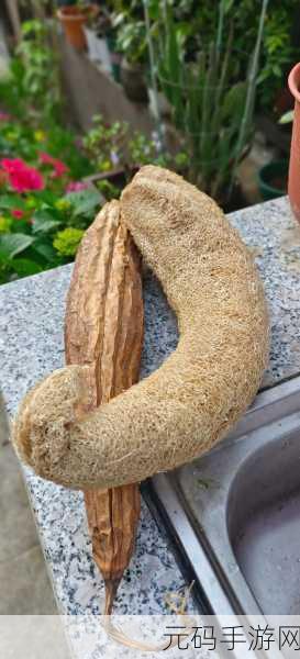 草莓香蕉榴莲丝瓜十八岁可以吃吗：1. 草莓香蕉榴莲丝瓜：适合十八岁年轻人的美味组合