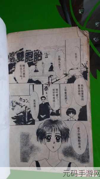 妙妙双胞胎系列1-2全集回顾:当然可以,以下是根据《妙妙双胞胎》系列的主题和风格拓展出来的新