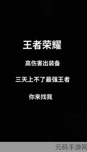 王者荣耀狂欢宝藏分享资格及解决方法全解析
