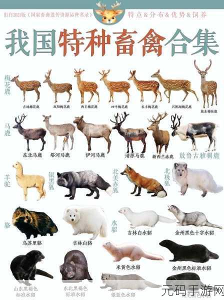 人与畜禽共性关系：人与畜禽共性关系的多维探讨与价值重塑