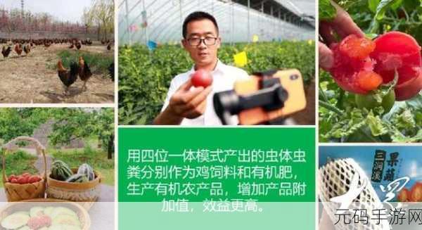 人与畜禽共性关系：人与畜禽共性关系的多维探讨与价值重塑