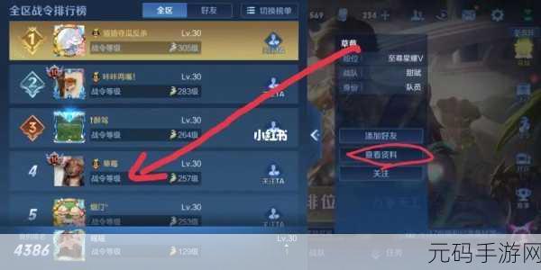 王者荣耀改名卡为何失效？深度解析与应对策略