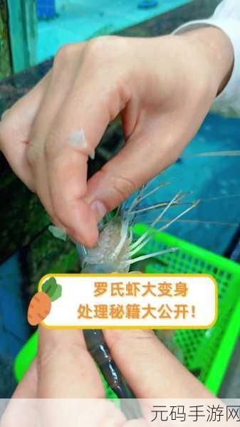 奥拉星手游,零号机获取秘籍大公开