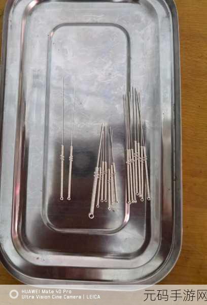 探索人马是怎么样配的种技术的奥秘：1. 探索人马配种技术的奥秘与创新