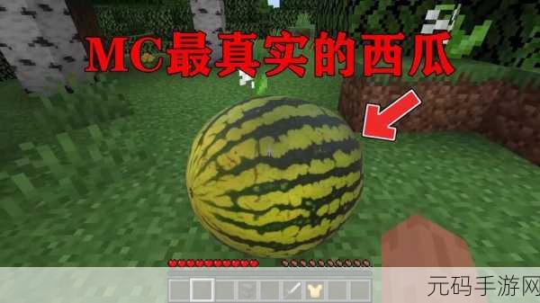 畅玩我的世界，西瓜片获取秘籍大公开