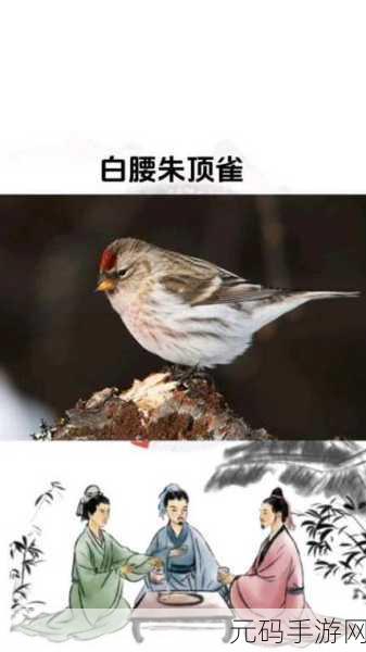 嘟噜嘟噜嘟噜啊耶啊耶：当然可以！以下是基于“嘟噜嘟噜嘟噜啊耶啊耶”扩展出的新