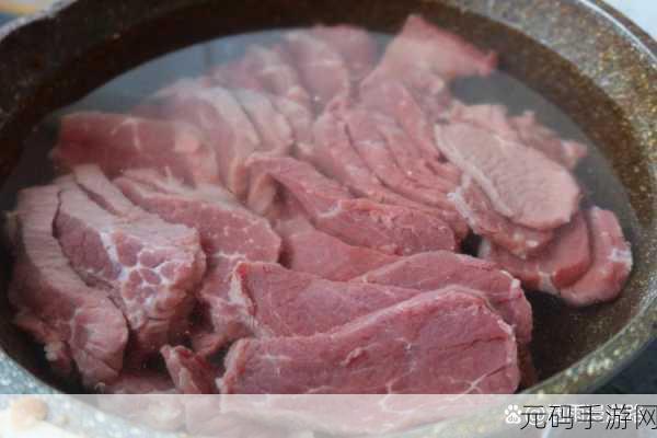 东北大叔VLOG以前视频：好的，以下是一些根据东北大叔VLOG风格拓展出的新标题，均不少于10个字：
