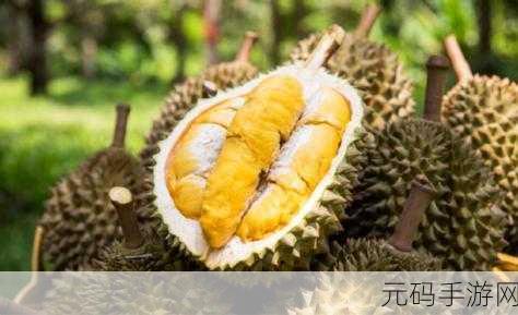 后榴莲app官下载1.0.3:1. 深度探索后榴莲APP 1.0.3 新功能与优势