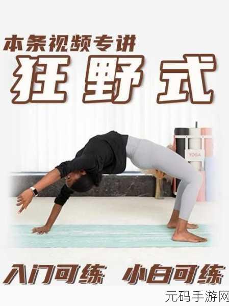 两种进入狂野式的方法有哪些：以下是关于两种进入狂野式的方法的10个字以上的新