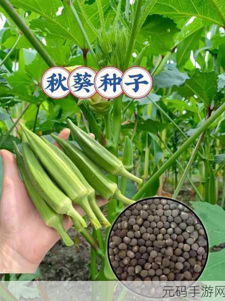 qksp.ⅴip秋葵解锁版5.0.3免费全面换新:1. 秋葵解锁版5.0.3全新体验,尽在qksp.vip