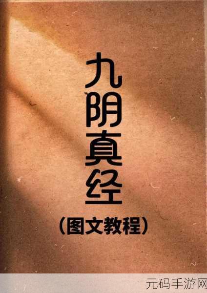 九阴真经x88888:1. 九阴真经:武林绝学的传承与探索