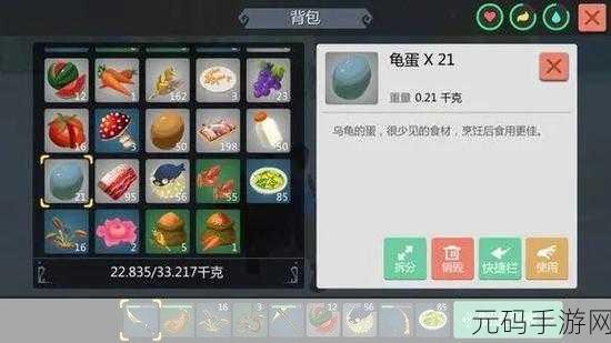 手游资讯,创造与魔法——普通龟饲料制作全攻略