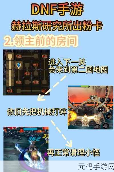 欢乐西游,白卡升级紫卡全面攻略与最新资讯