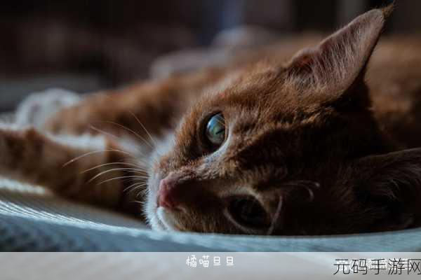 周家日常3pH周远:1. 周家日常:解锁生活中的小确幸