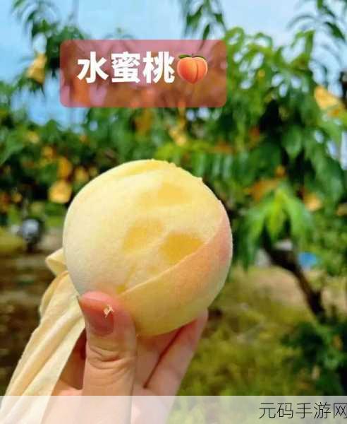 健身蜜汁扣肉水蜜桃:1. 健身美食新选择:蜜汁扣肉水蜜桃的完美搭配