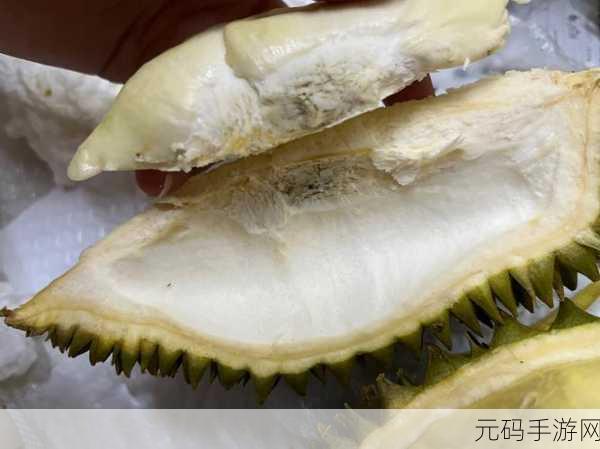 榴莲视频app下载进入免费版：1. 免费下载榴莲视频，畅享无广告观影体验