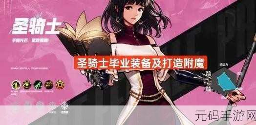 DNF手游职业选择与圣骑现状深度解析