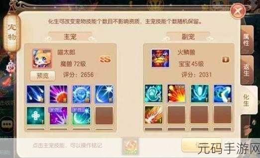 梦幻诛仙手游天音攻略深度解析,加点、仙侣与宠物全攻略