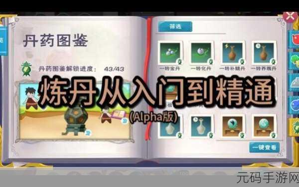 探秘创造与魔法,黄沙寻迹中的神秘丹药