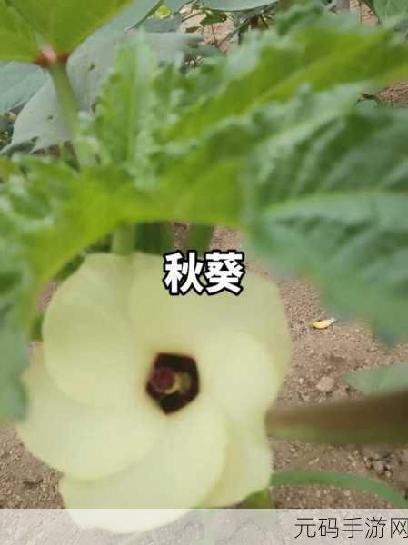 榴莲秋葵向日葵茄子丝瓜大全：1. 榴莲与秋葵：探索异域风味的美食之旅