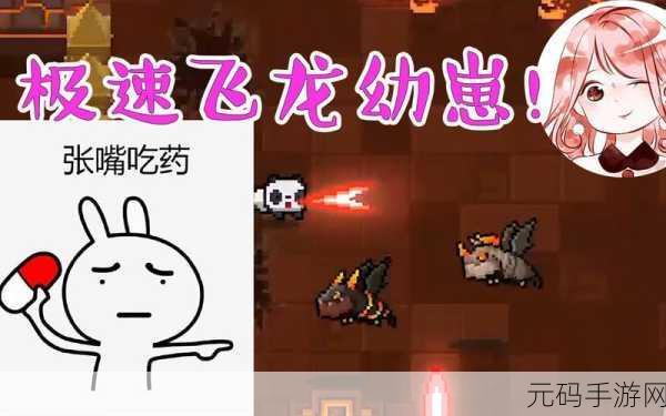 手游资讯,揭秘元气骑士宠物飞龙的食物之谜