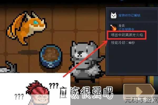 手游资讯,揭秘元气骑士宠物飞龙的食物之谜