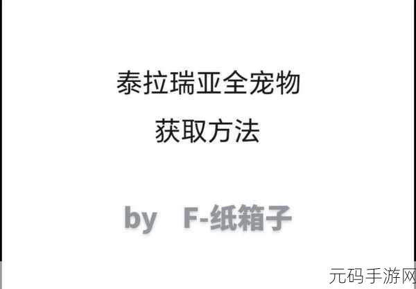 探秘泰拉瑞亚,发光宠物的获取秘籍