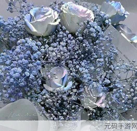 意大利满天星A级：当然可以！以下是一些基于意大利满天星A级的标题建议，均不少于10个字：