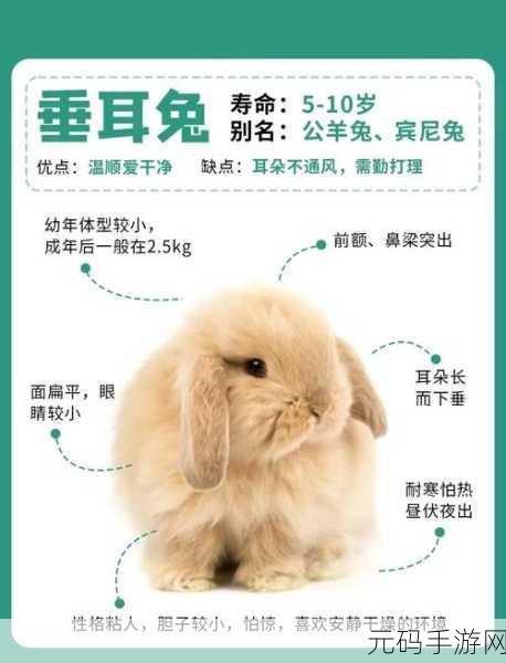 咬小兔兔的正确咬法：1. 掌握正确咬小兔兔的技巧，提升你的宠物护理技能