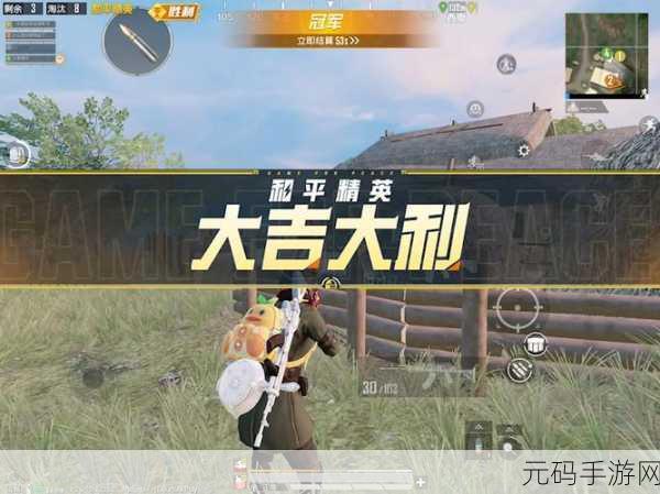 和平精英,神级吃鸡组合曝光,决赛圈胜率惊人