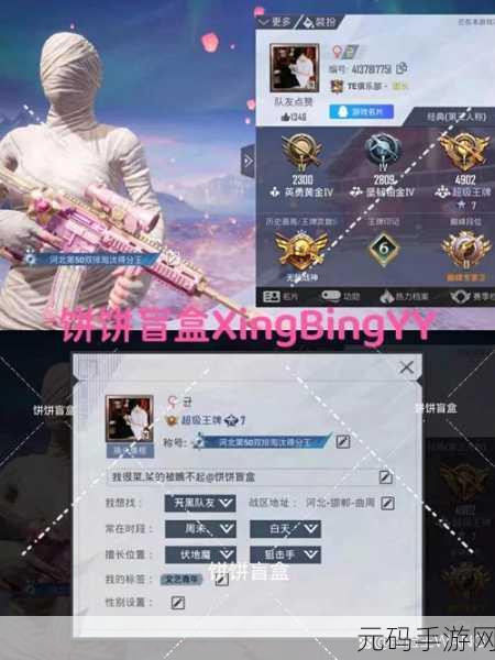 和平精英稀有单字ID揭秘，2023年玩家争相追逐的独特标识
